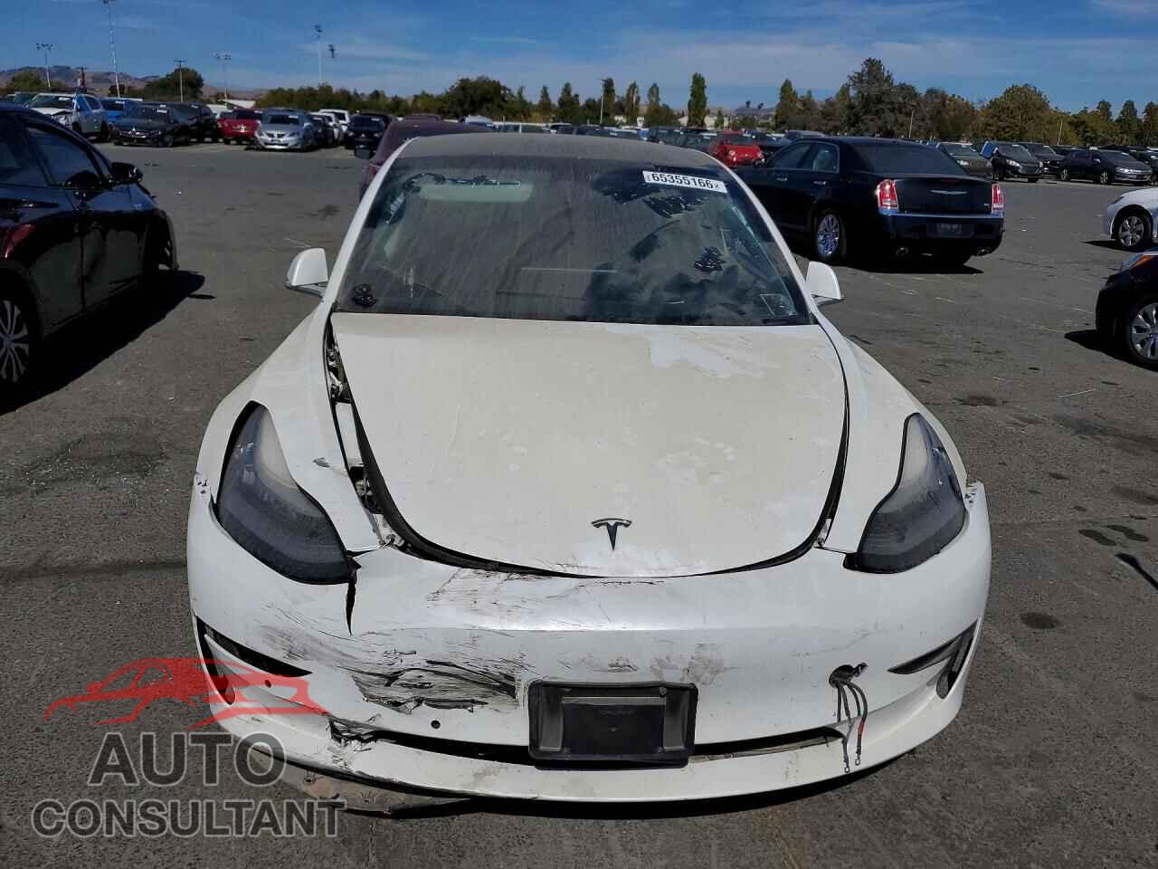 TESLA MODEL 3 2019 - 5YJ3E1EA2KF447567