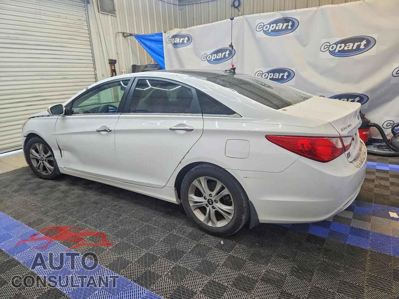 HYUNDAI SONATA 2013 - 5NPEC4AC1DH652230