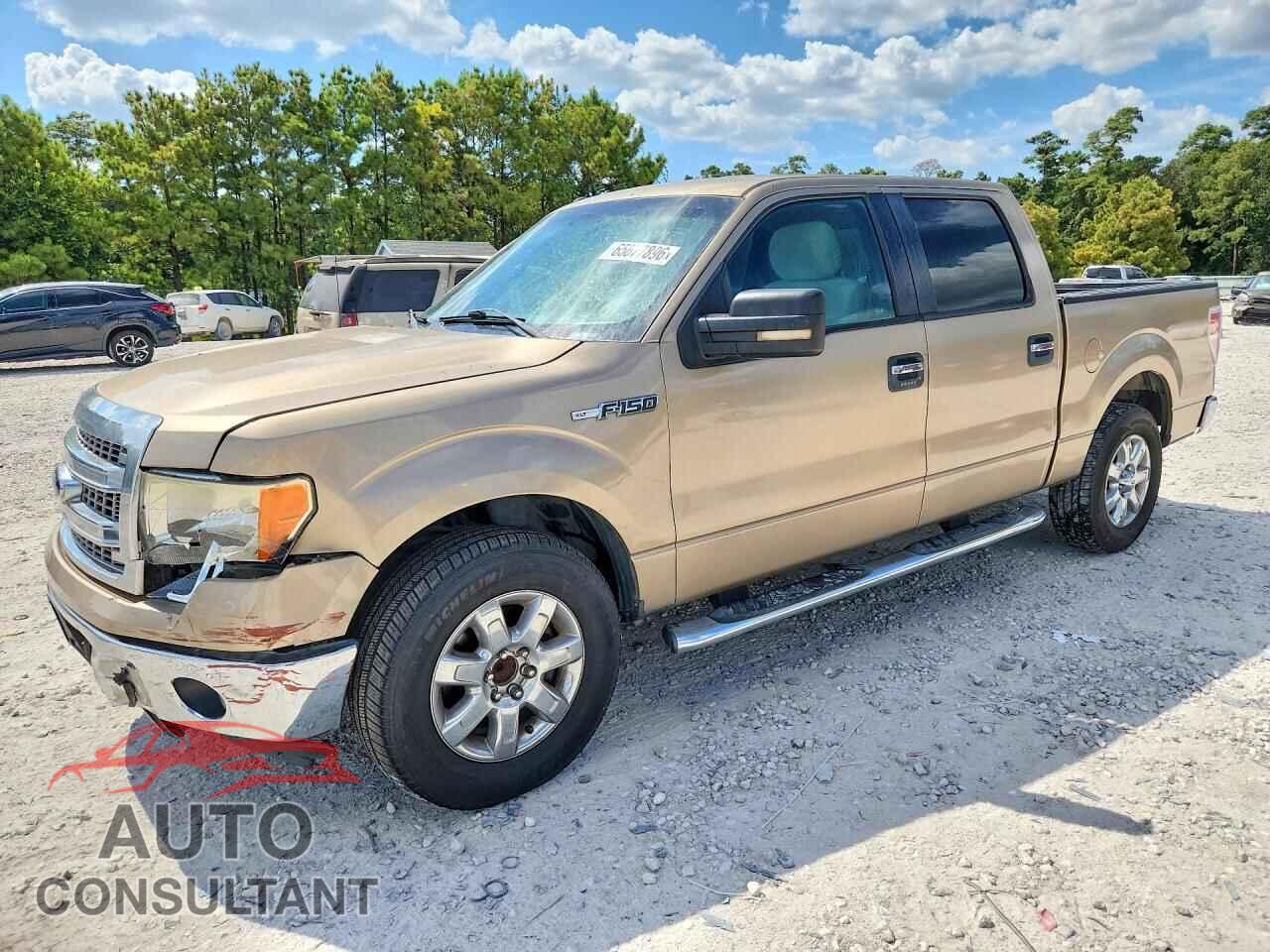 FORD F150 2013 - 1FTFW1CFXDFD55663