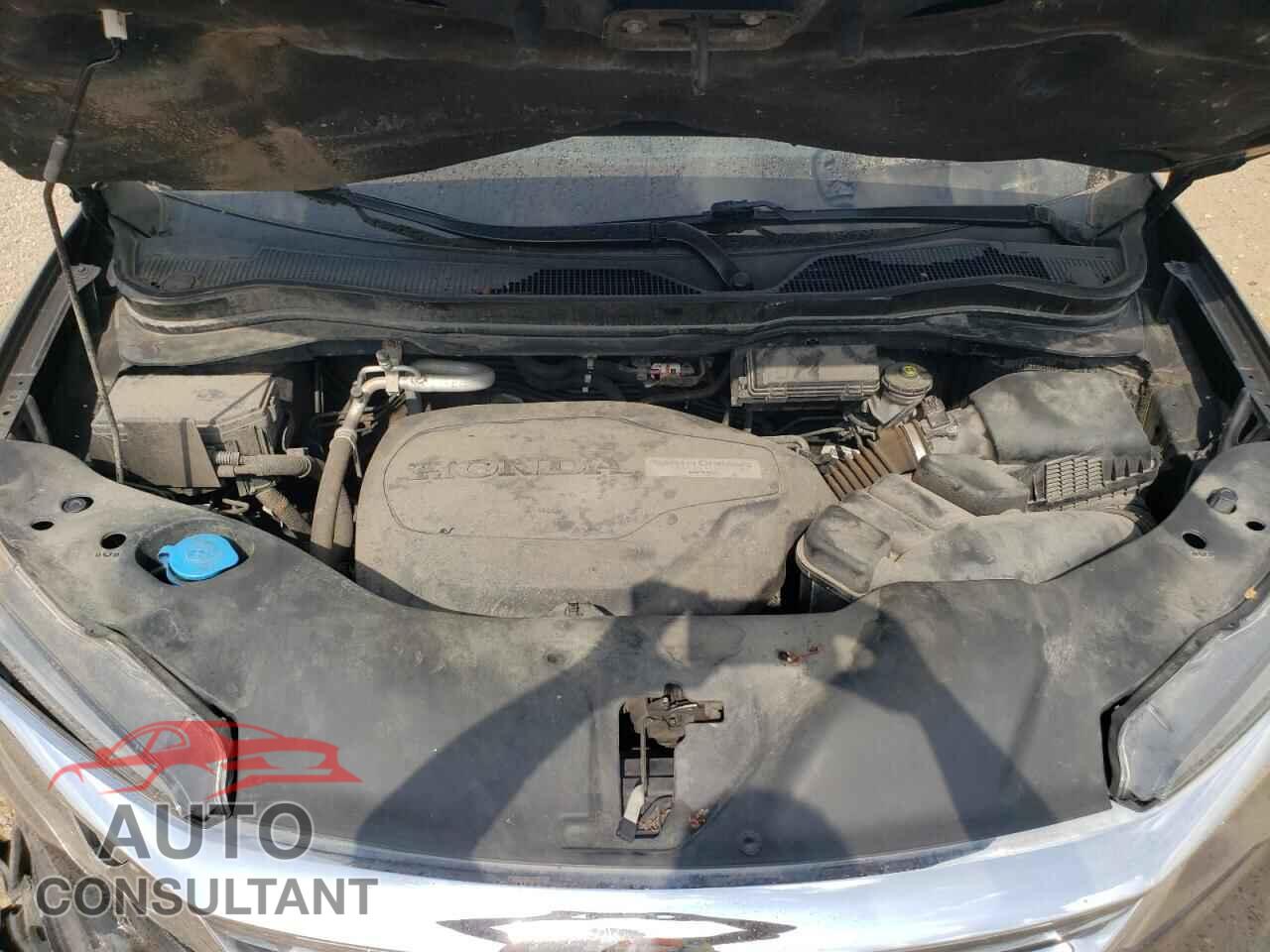 HONDA PILOT 2019 - 5FNYF6H52KB041206