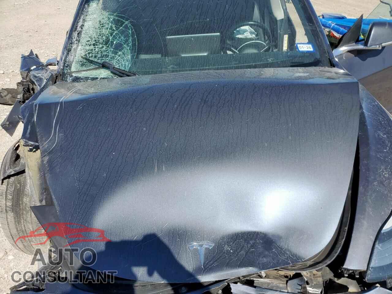 TESLA MODEL 3 2019 - 5YJ3E1EA9KF190178