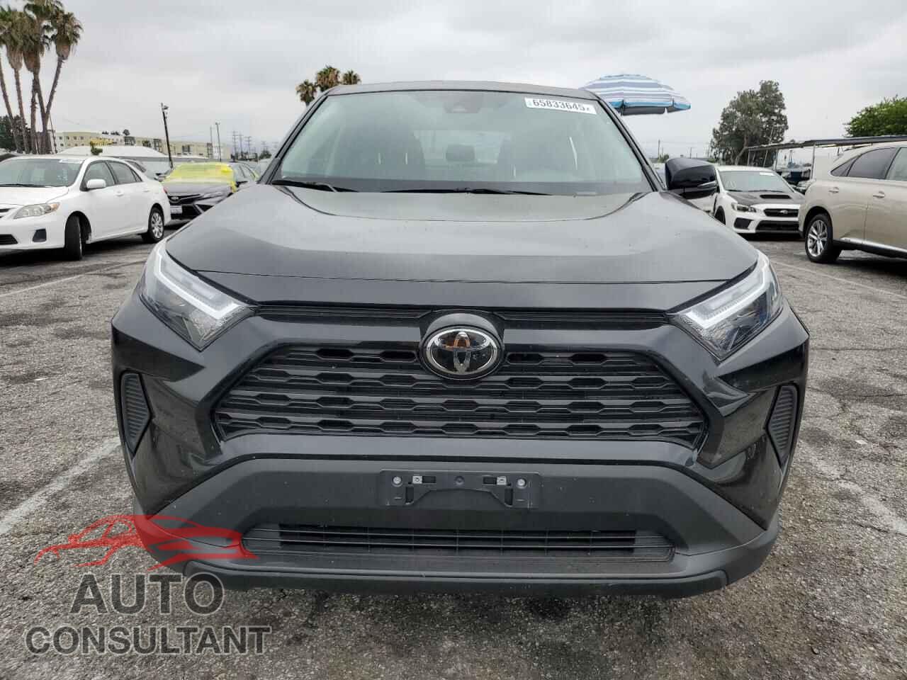 TOYOTA RAV4 2024 - 2T3K1RFV2RC256809