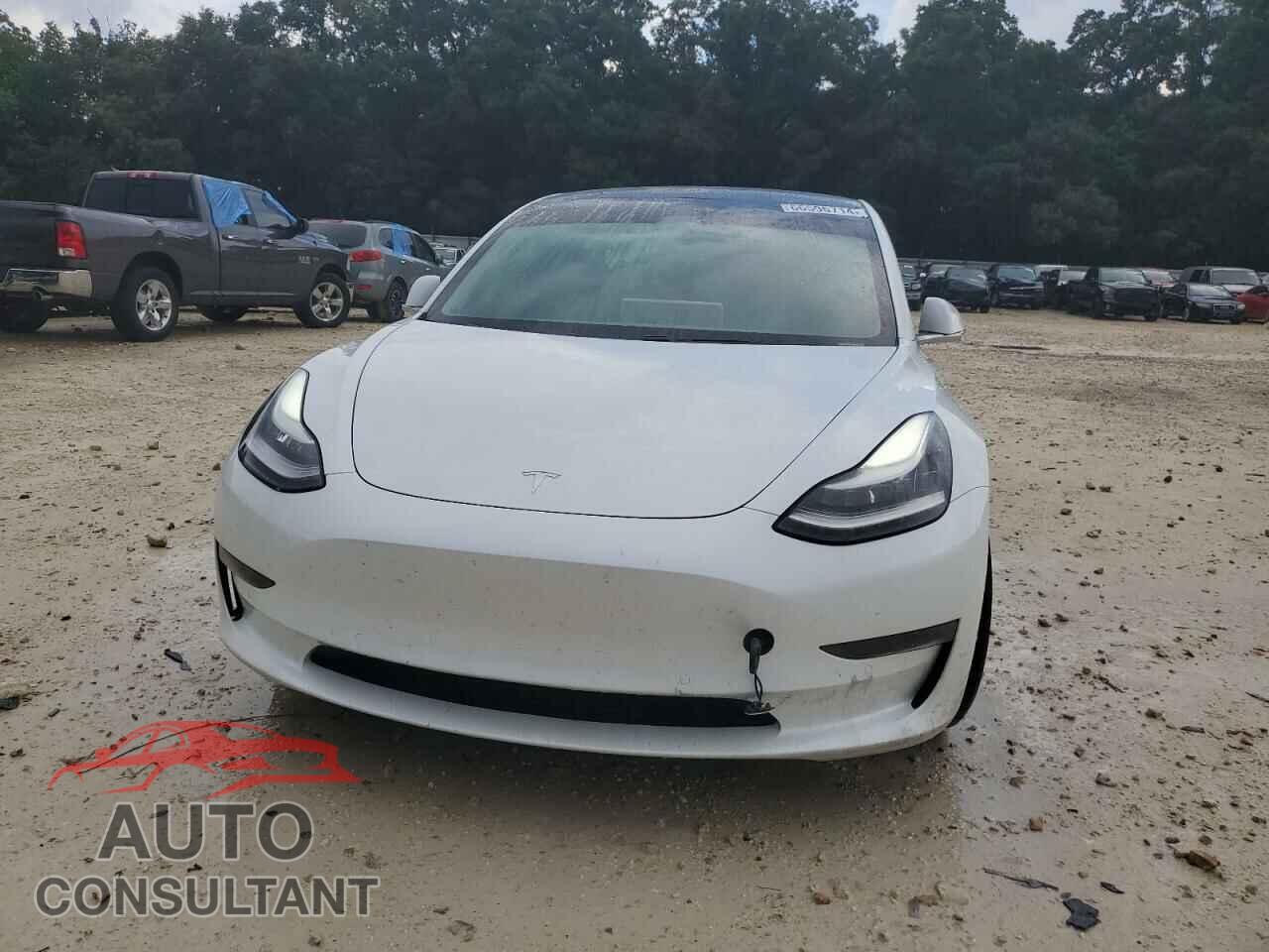 TESLA MODEL 3 2020 - 5YJ3E1EA4LF737035