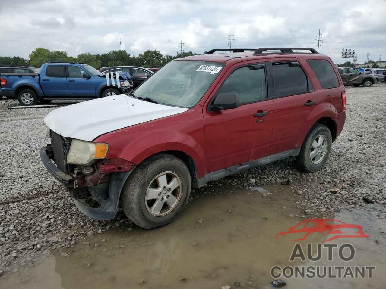 FORD ESCAPE 2011 - 1FMCU9DG1BKB96420