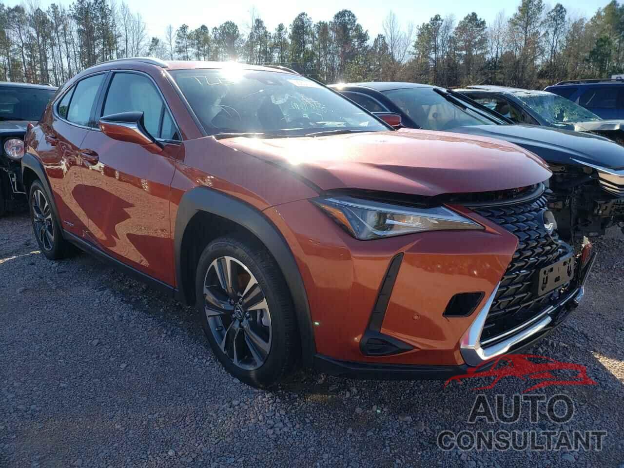 LEXUS UX 250H 2019 - JTHU9JBH8K2003587