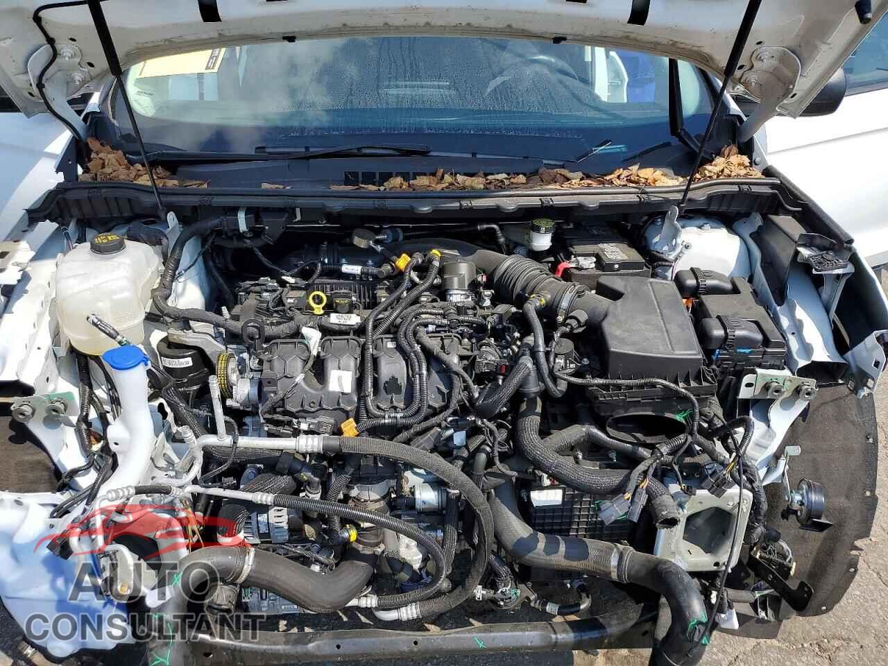 FORD EDGE 2024 - 2FMPK4G90RBA57780