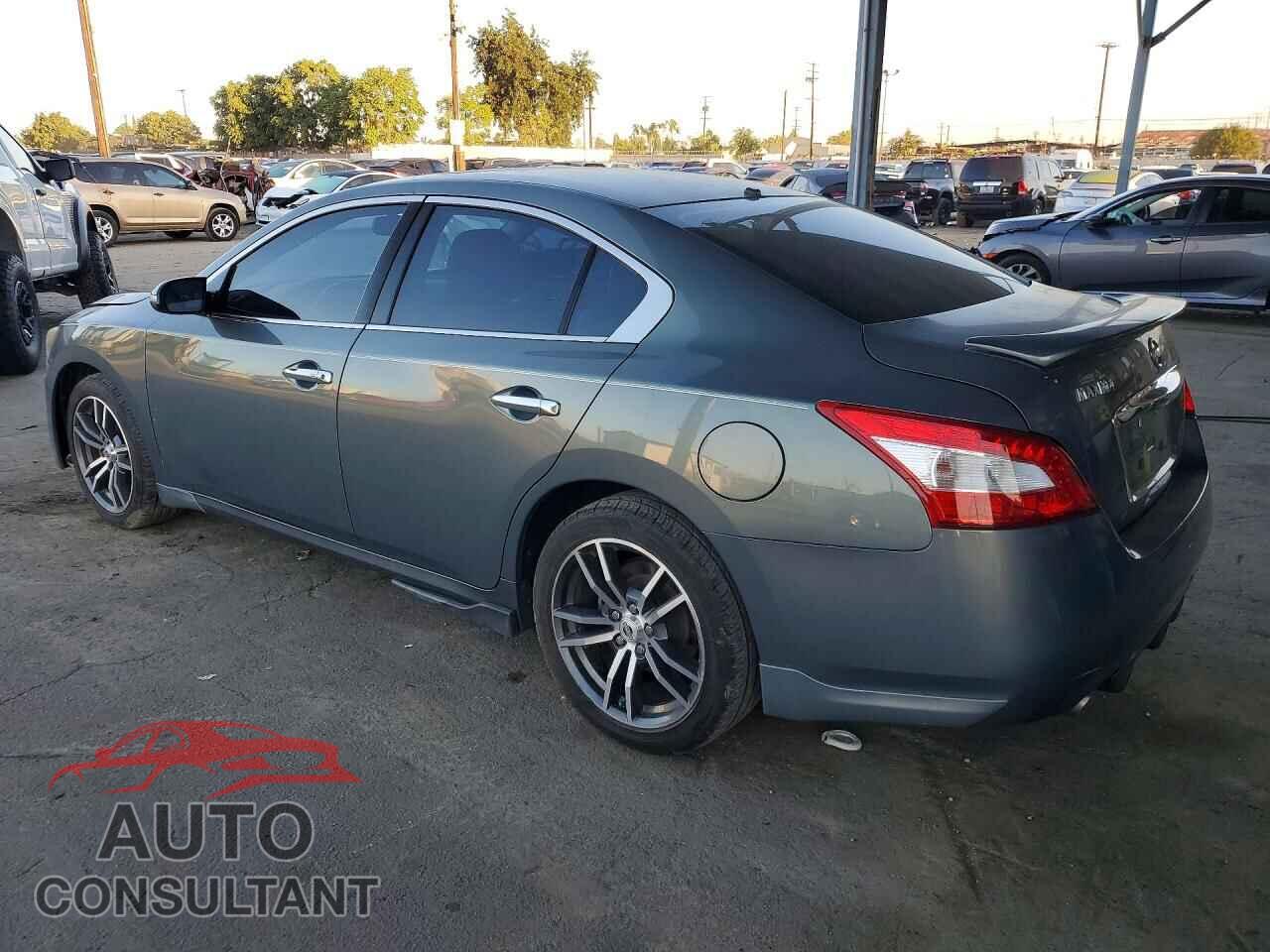 NISSAN MAXIMA 2009 - 1N4AA51E89C829635