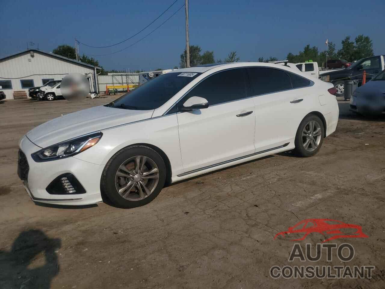 HYUNDAI SONATA 2018 - 5NPE34AF5JH636179