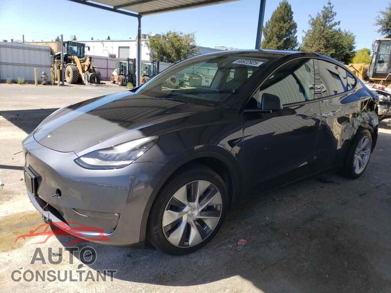 TESLA MODEL Y 2022 - 7SAYGDEE5NF372701