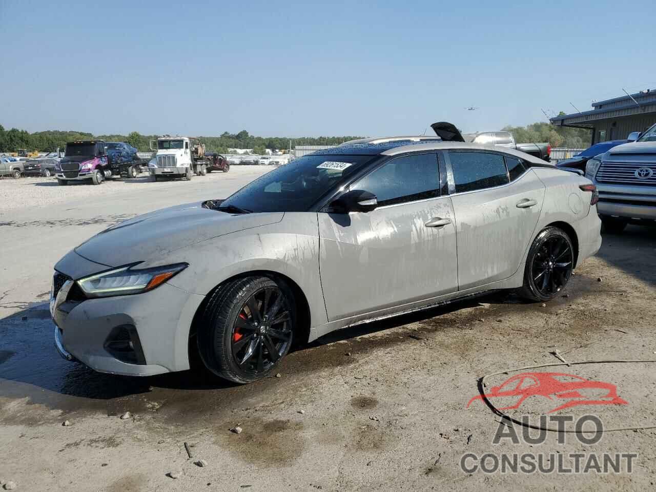 NISSAN MAXIMA 2019 - 1N4AA6AV3KC380957