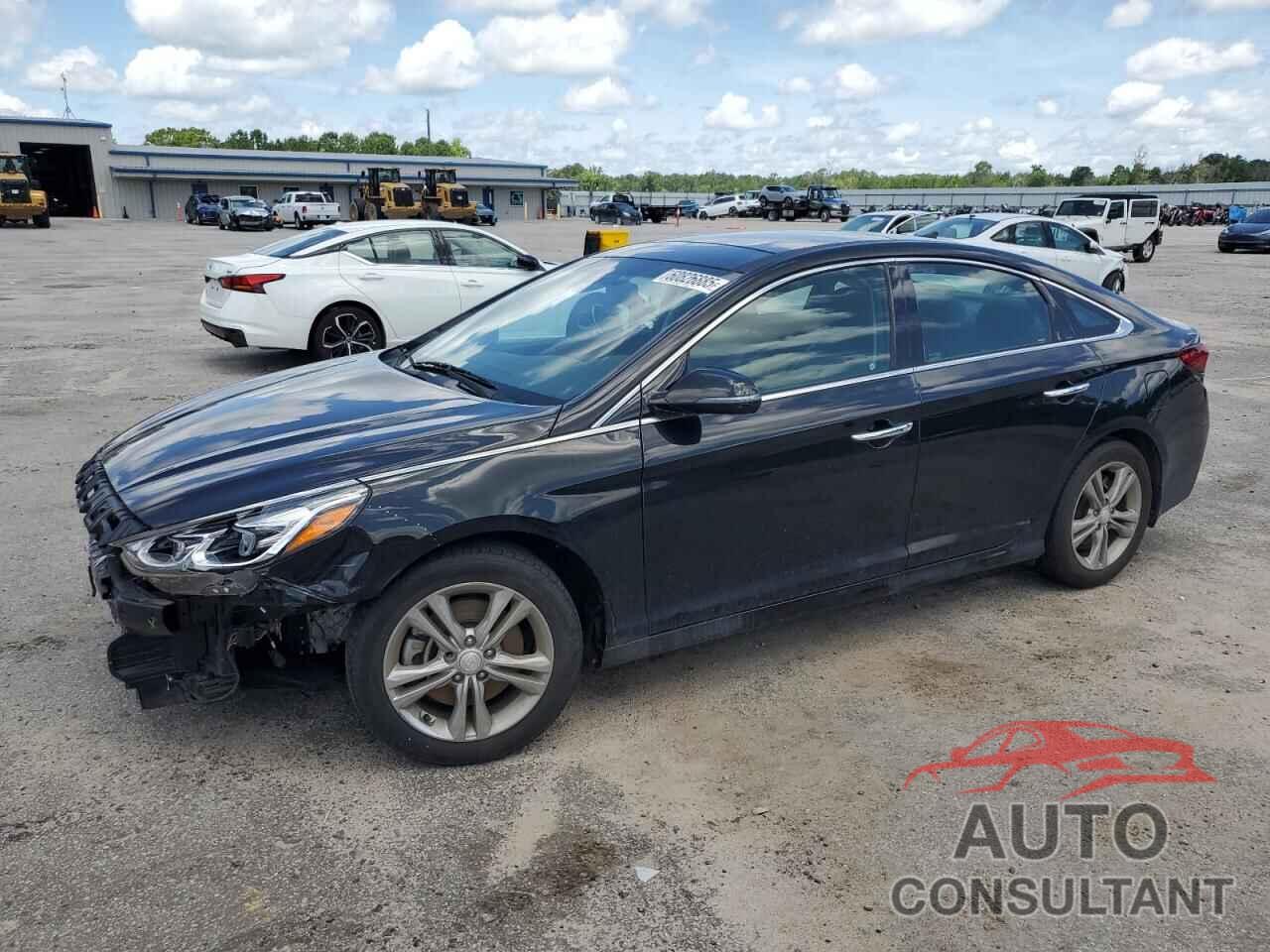 HYUNDAI SONATA 2019 - 5NPE34AF5KH766741