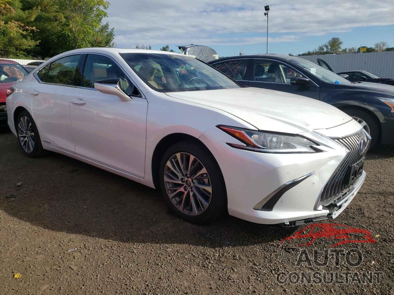 LEXUS ES300 2021 - 58ADA1C12MU008287