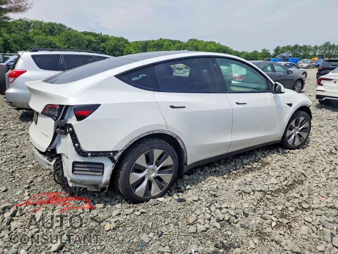 TESLA MODEL Y 2021 - 5YJYGDEE4MF254201
