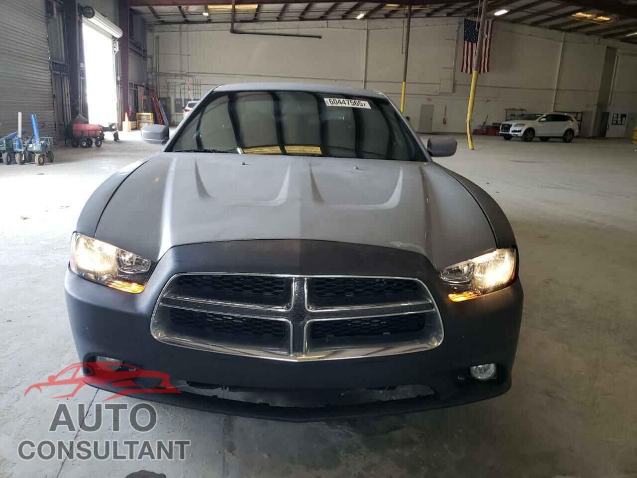 DODGE CHARGER 2013 - 2C3CDXHG2DH609804