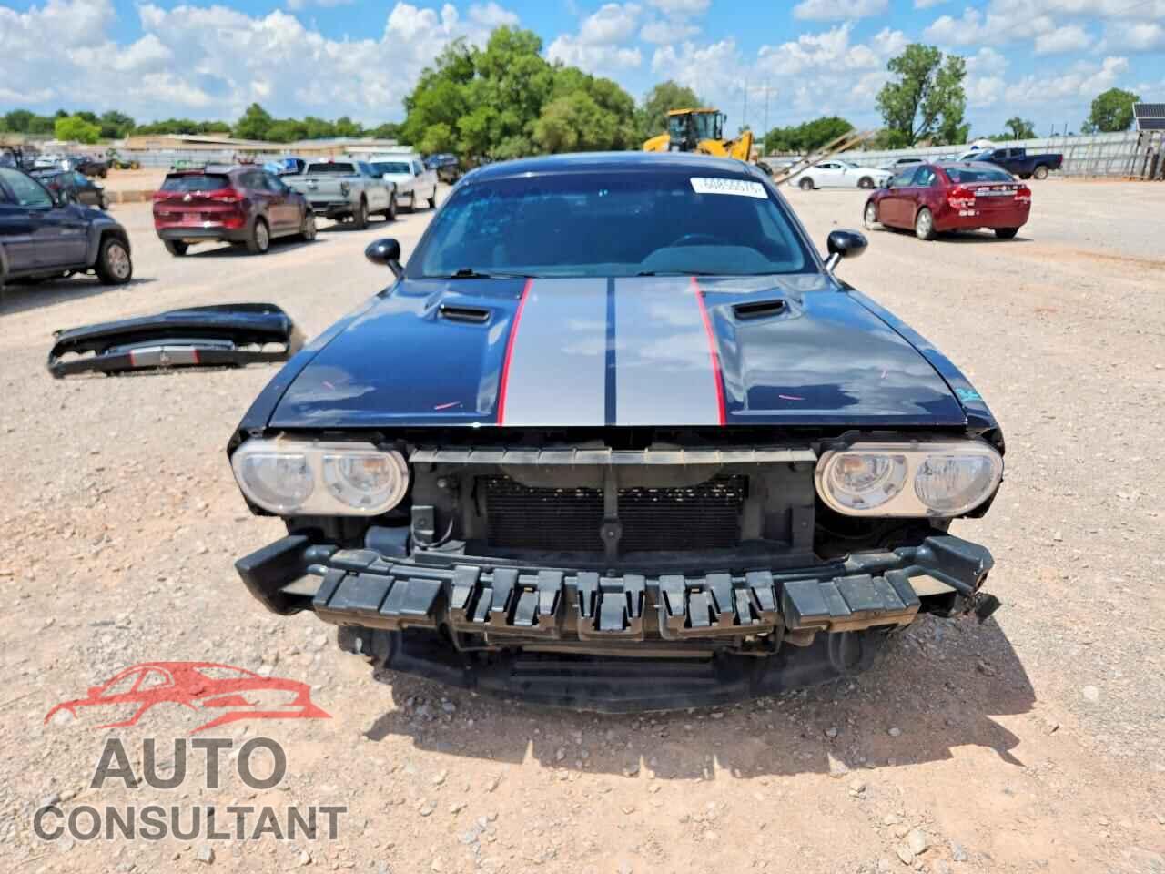 DODGE CHALLENGER 2010 - 2B3CJ4DVXAH314454
