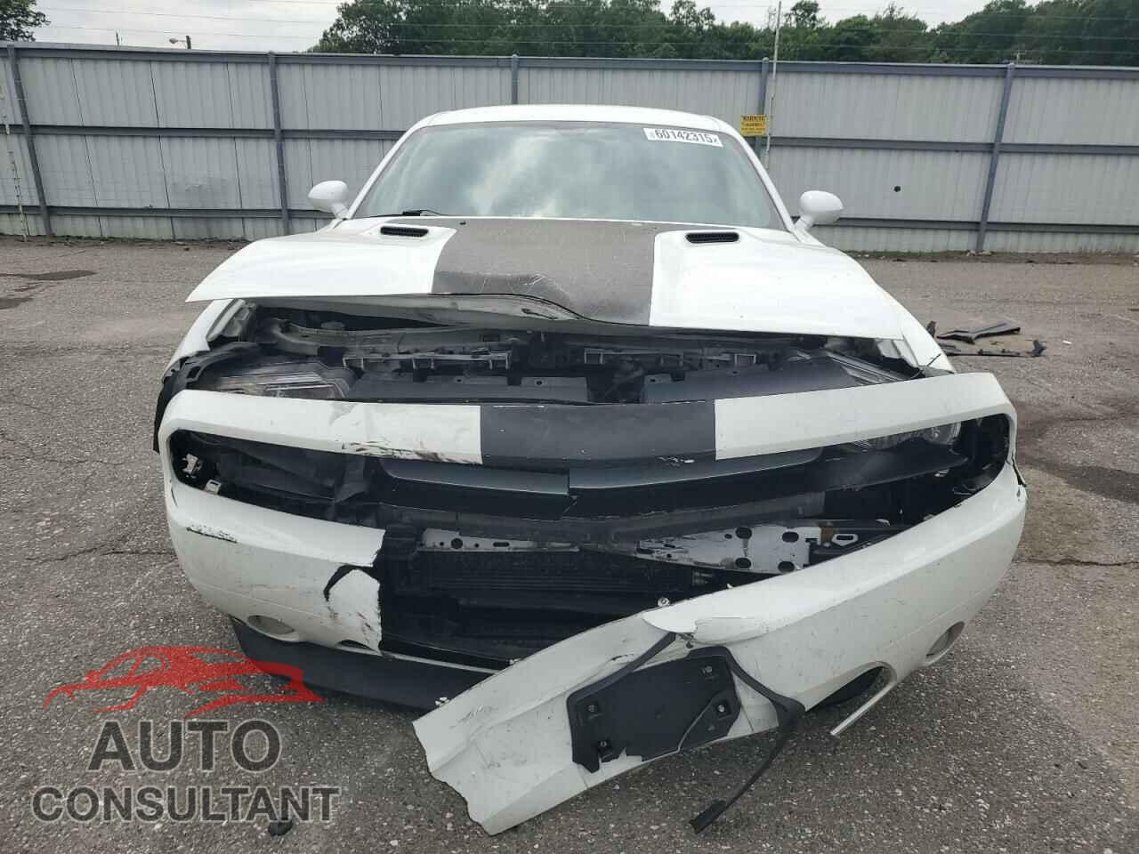 DODGE CHALLENGER 2014 - 2C3CDYAG2EH196784