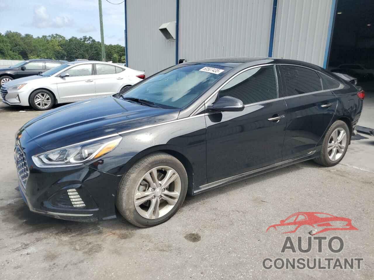 HYUNDAI SONATA 2019 - 5NPE34AF1KH767837
