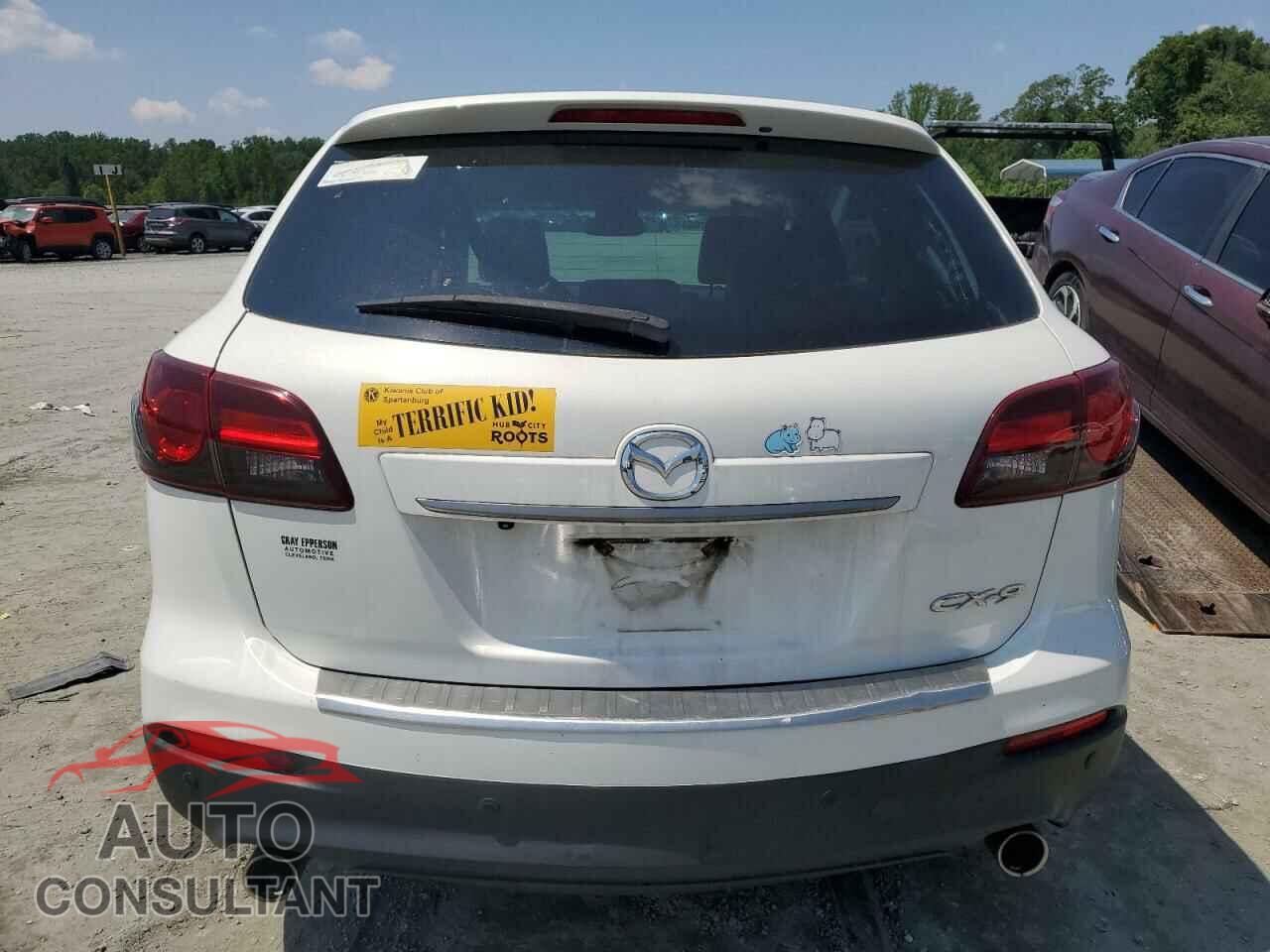 MAZDA CX-9 2015 - JM3TB2DA3F0452160