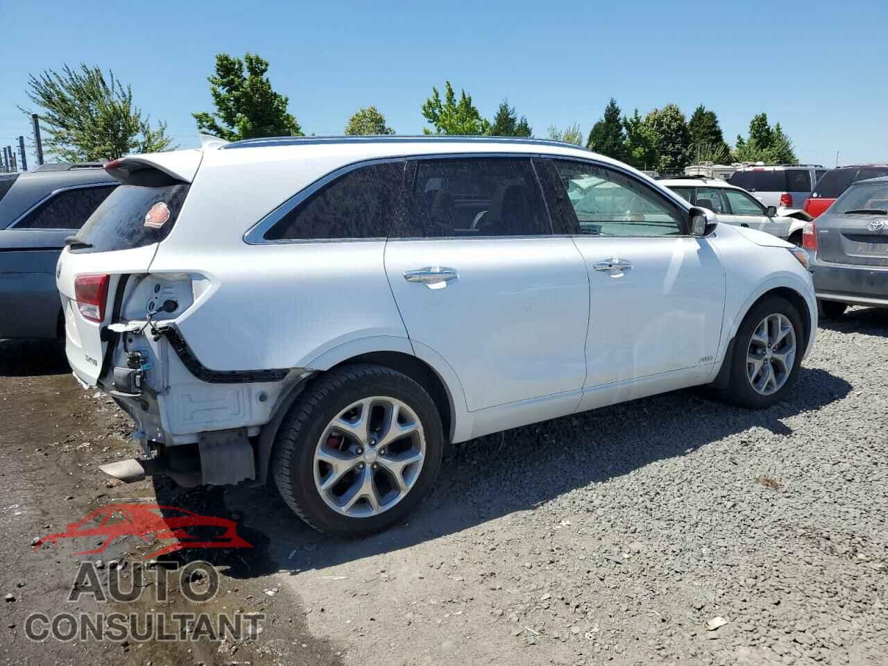 KIA SORENTO 2016 - 5XYPKDA55GG142665