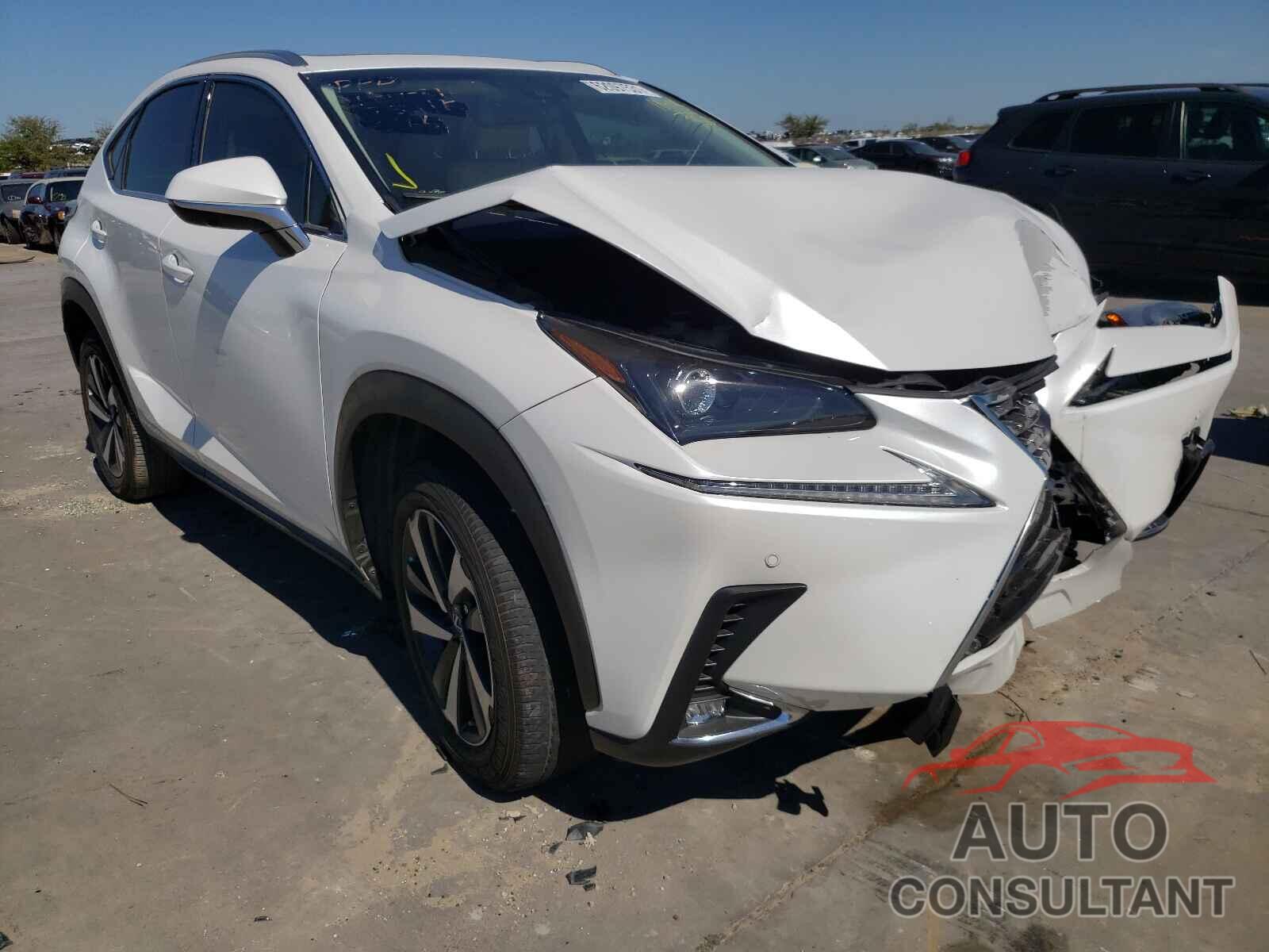 LEXUS NX 2019 - JTJYARBZ7K2130166