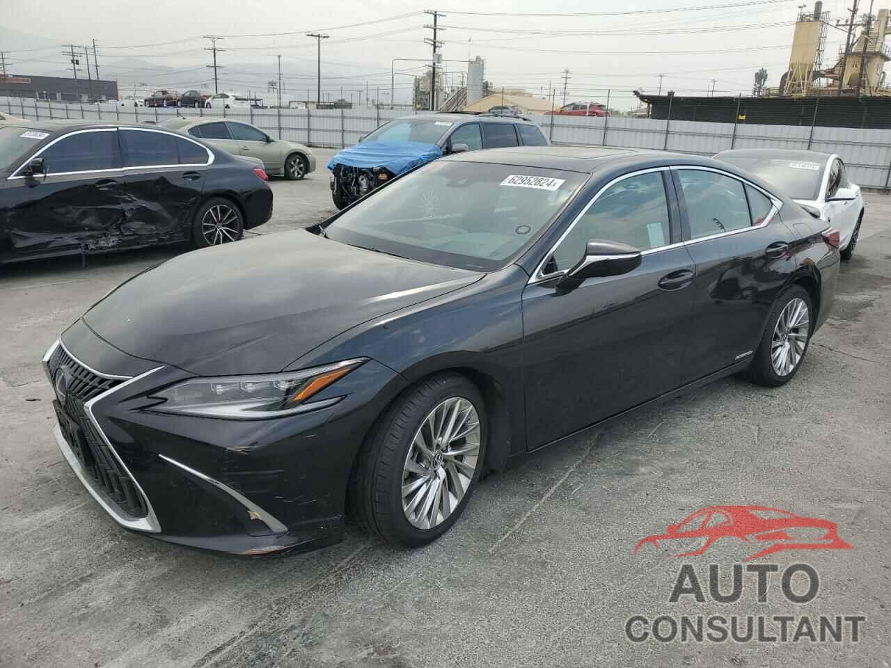 LEXUS ES300 2022 - 58AEA1C14NU020754