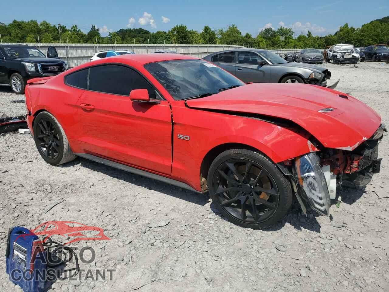 FORD MUSTANG 2019 - 1FA6P8CF4K5111568