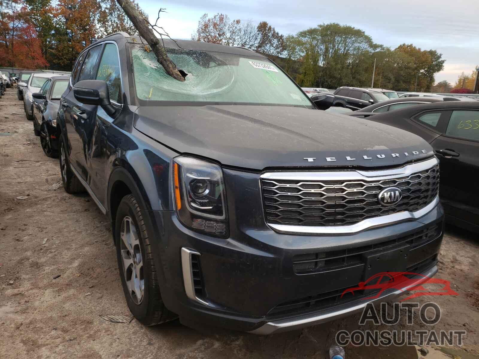 KIA TELLURIDE 2020 - 5XYP3DHCXLG020881