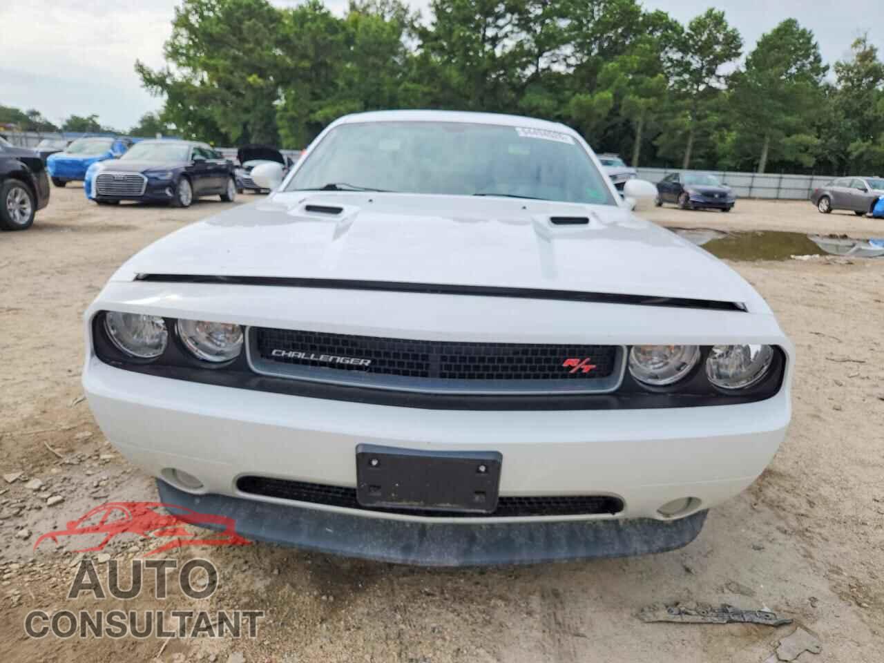 DODGE CHALLENGER 2014 - 2C3CDYBT5EH196824