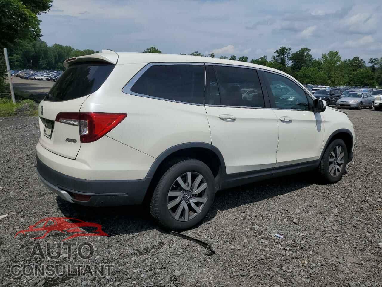 HONDA PILOT 2019 - 5FNYF6H53KB065921