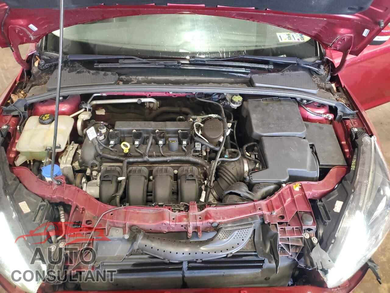FORD FOCUS 2016 - 1FADP3K24GL218986