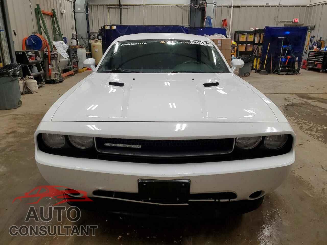 DODGE CHALLENGER 2013 - 2C3CDYAG2DH718683
