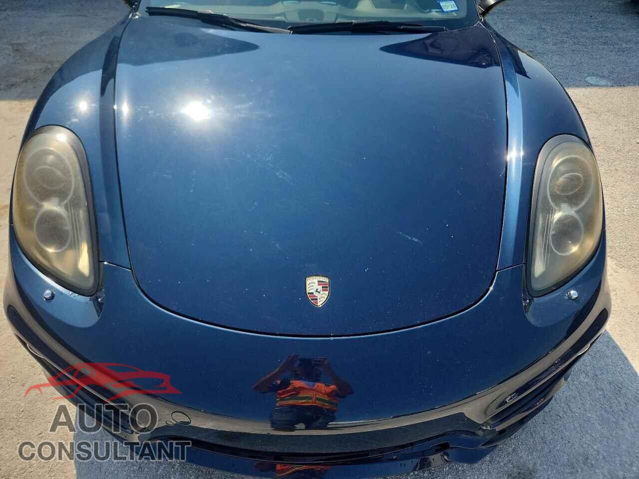 PORSCHE CAYMAN 2015 - WP0AB2A82FK183641