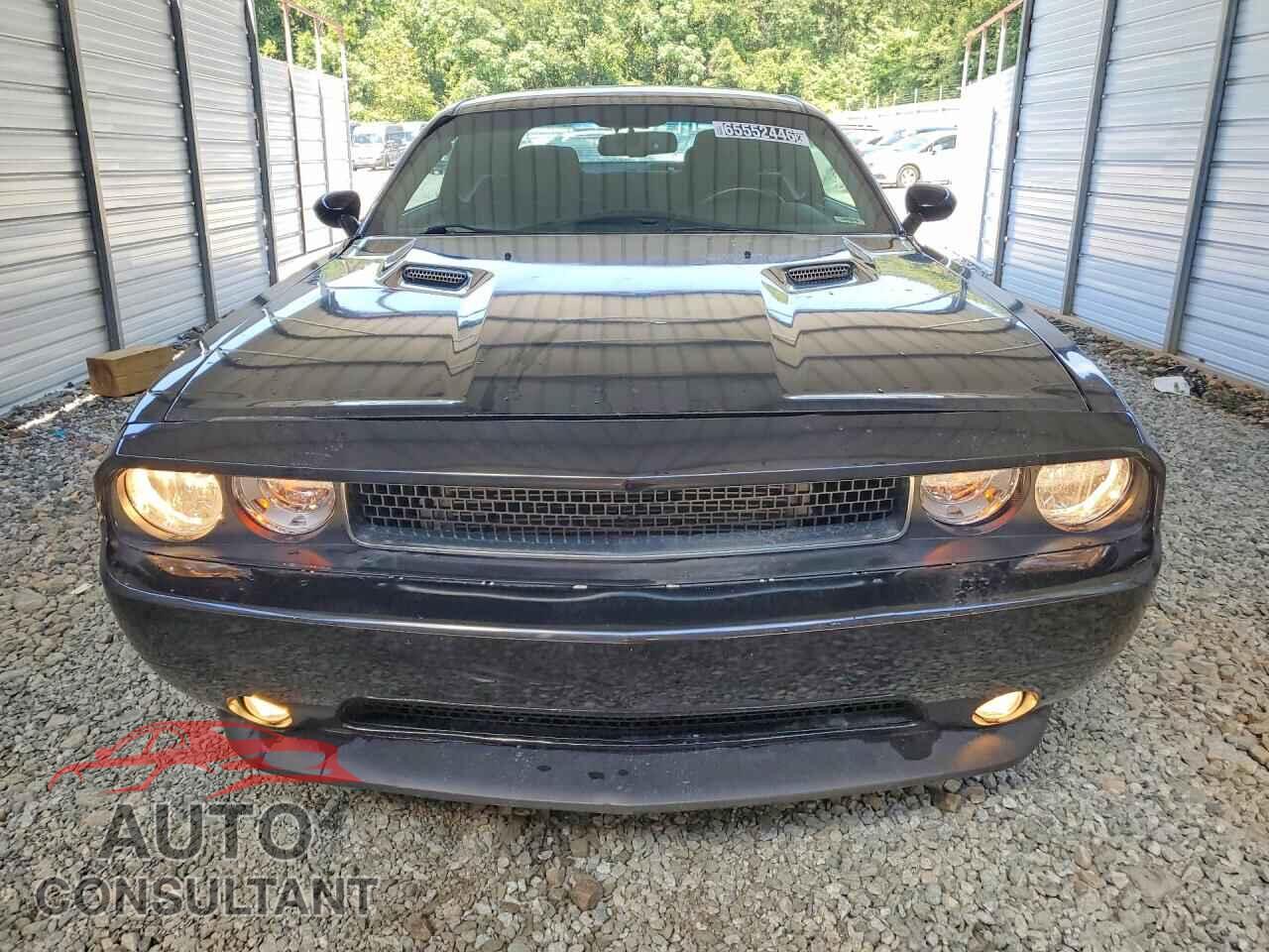 DODGE CHALLENGER 2013 - 2C3CDYAG4DH650807