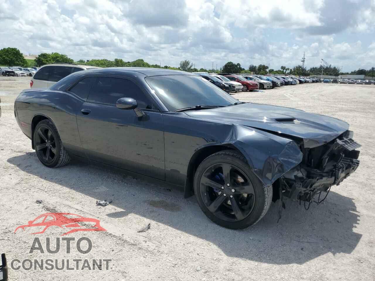 DODGE CHALLENGER 2019 - 2C3CDZAG2KH620417