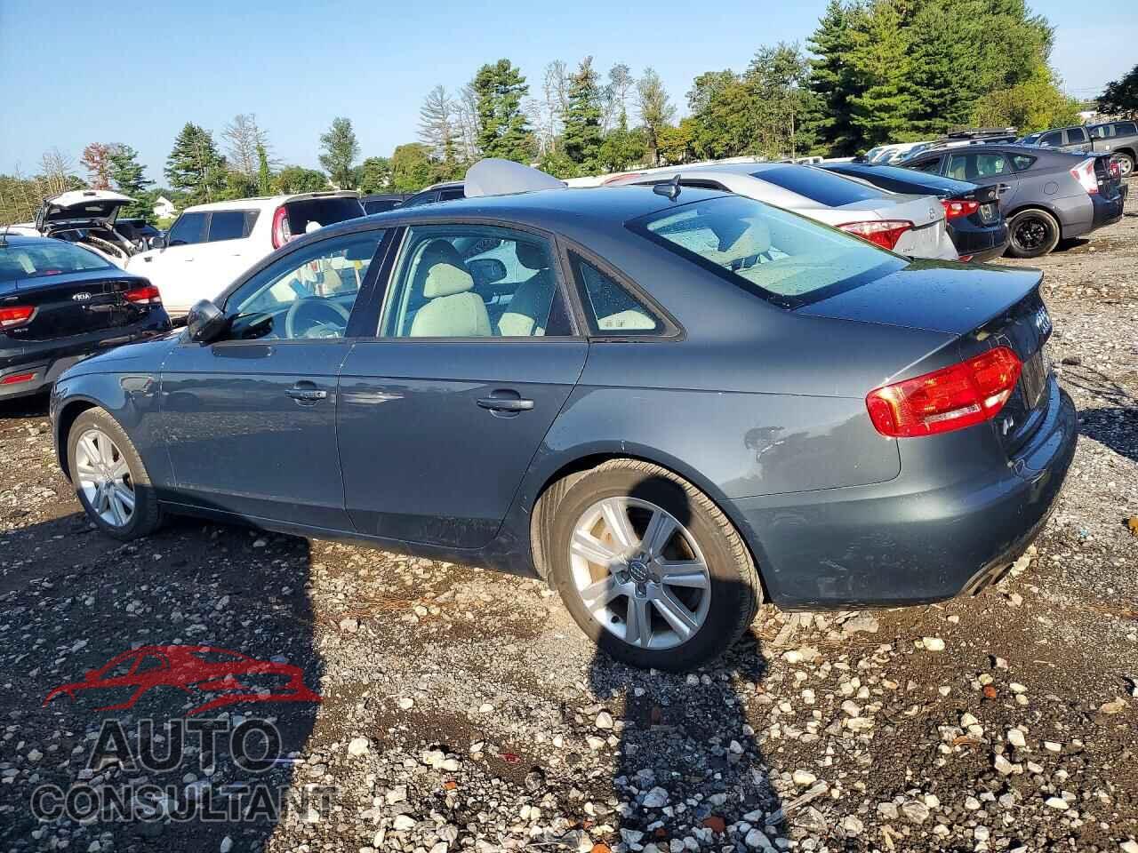 AUDI A4 2011 - WAUBFAFLXBN038966