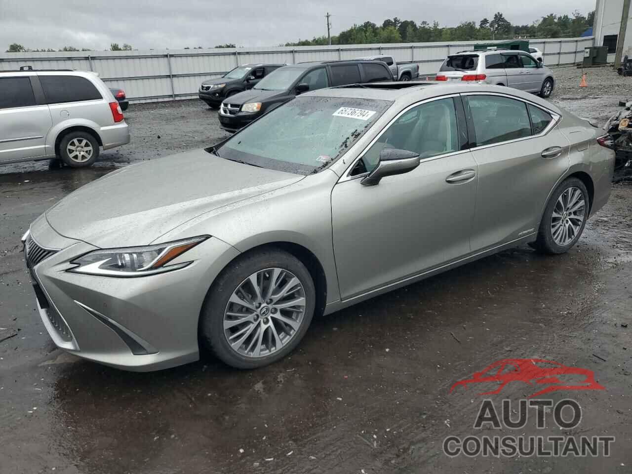 LEXUS ES300 2020 - 58AD21B18LU011868