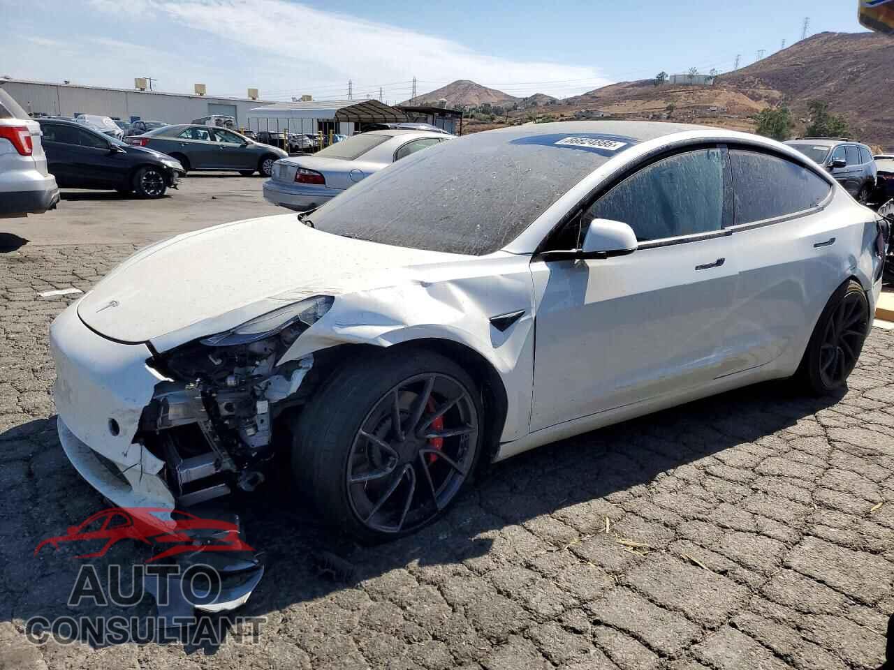 TESLA MODEL 3 2021 - 5YJ3E1ECXMF072225