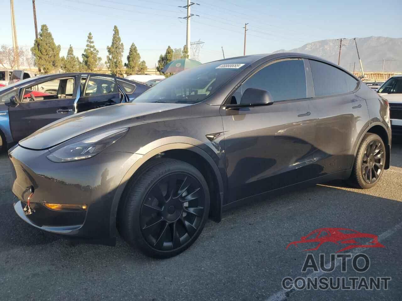 TESLA MODEL Y 2024 - 7SAYGDEE3RF066375