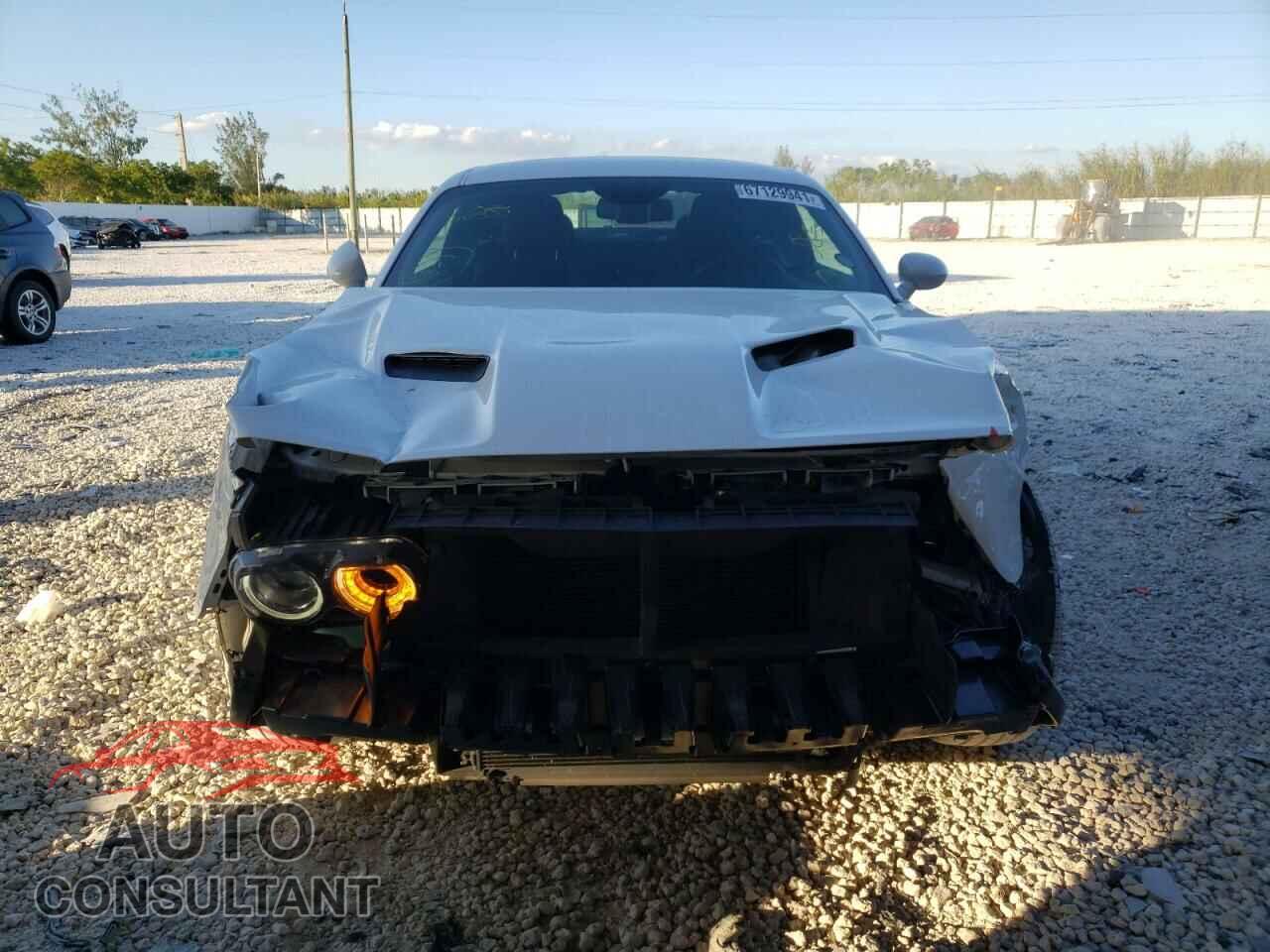 DODGE CHALLENGER 2019 - 2C3CDZAG0KH561688