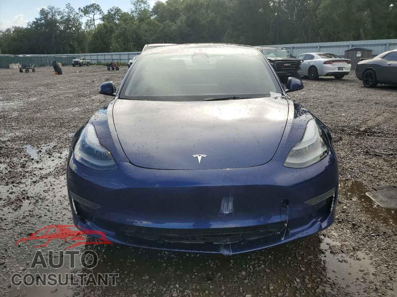 TESLA MODEL 3 2022 - 5YJ3E1EA3NF331878