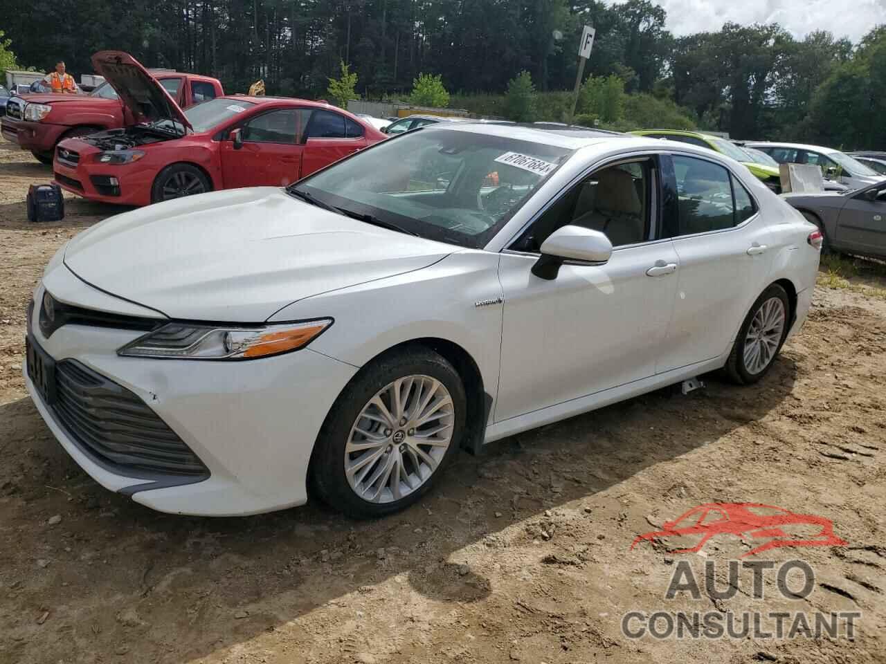 TOYOTA CAMRY 2019 - 4T1B21HKXKU014185