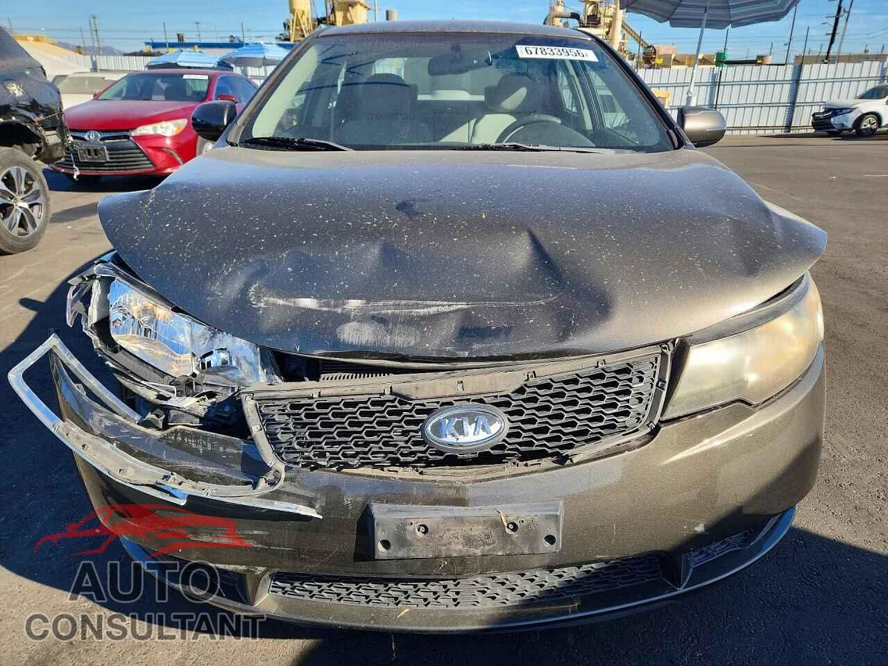 KIA FORTE 2012 - KNAFU4A23C5519845