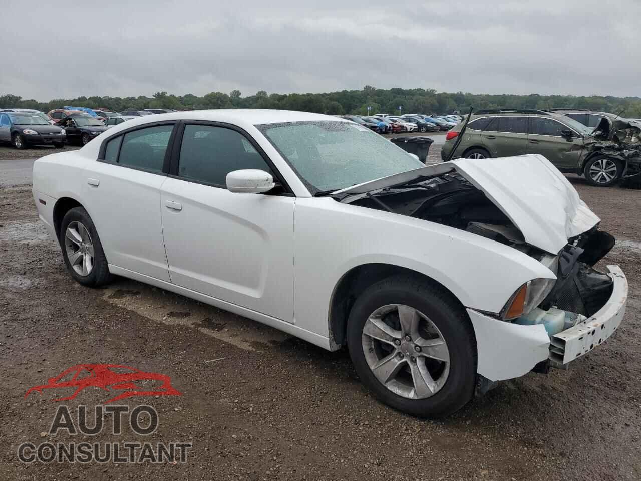 DODGE CHARGER 2011 - 2B3CL3CG7BH543781