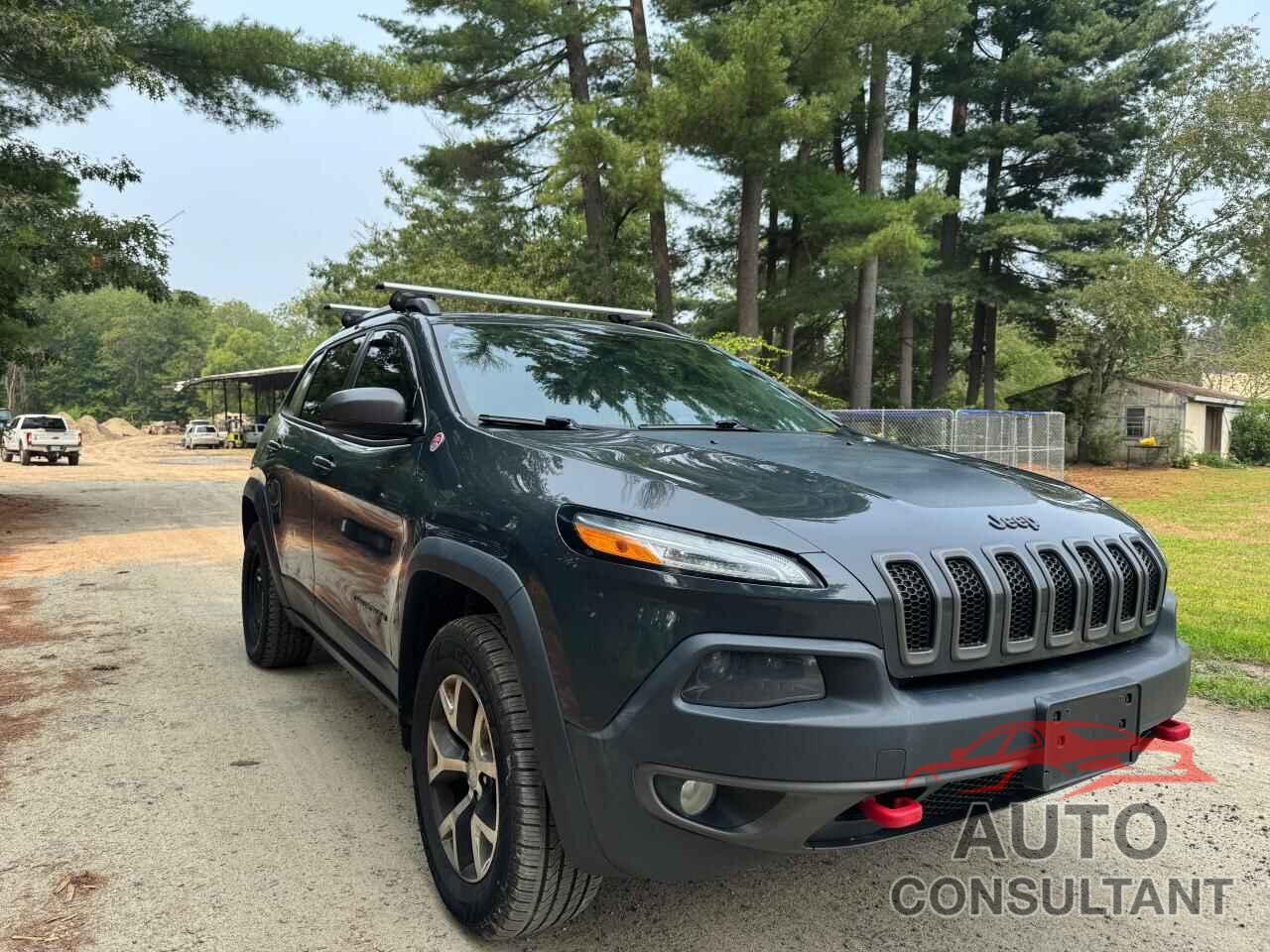 JEEP CHEROKEE 2016 - 1C4PJMBSXGW314683