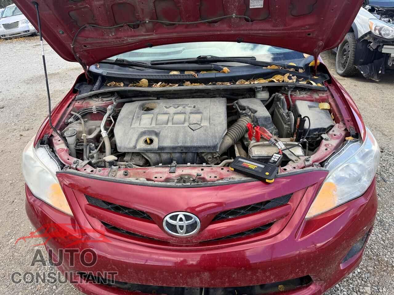 TOYOTA COROLLA 2011 - 2T1BU4EE4BC648538