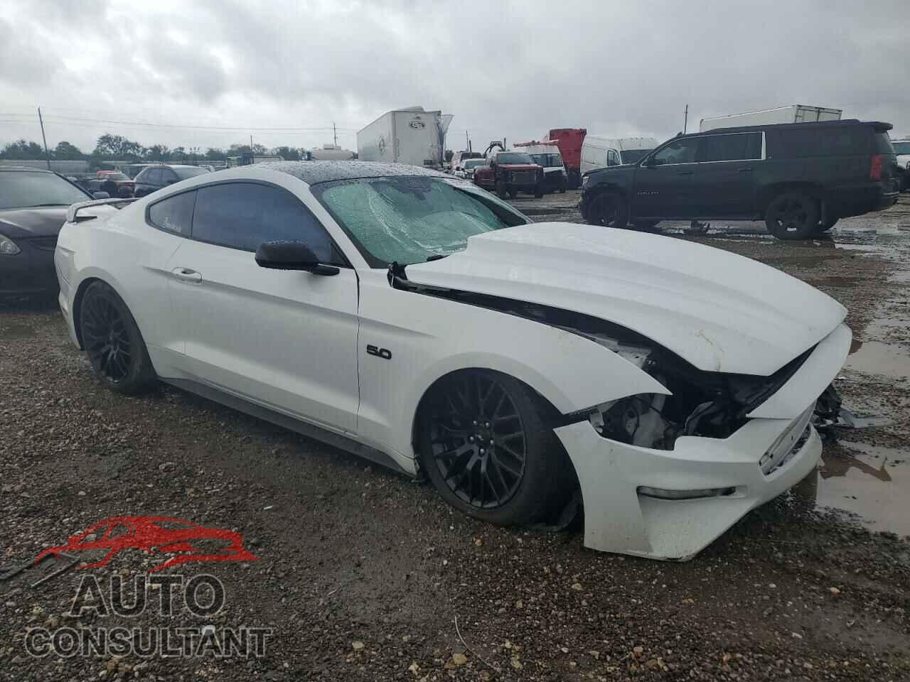 FORD MUSTANG 2019 - 1FA6P8CF4K5147745