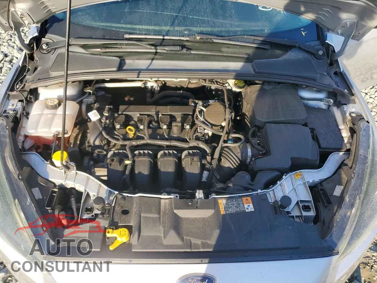 FORD FOCUS SE 2016 - 1FADP3F2XGL229081