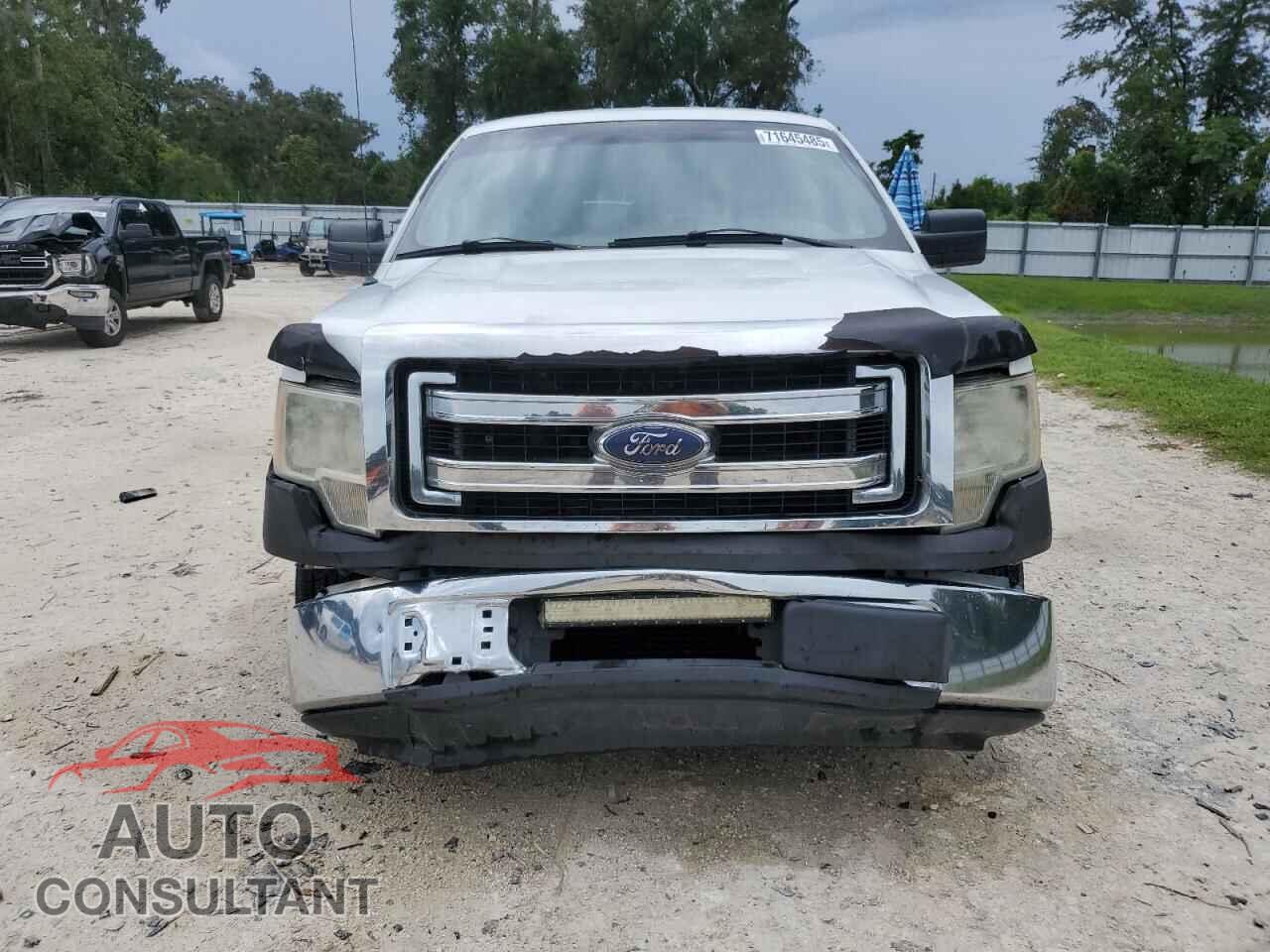 FORD F-150 2013 - 1FTFX1CT5DFB04388