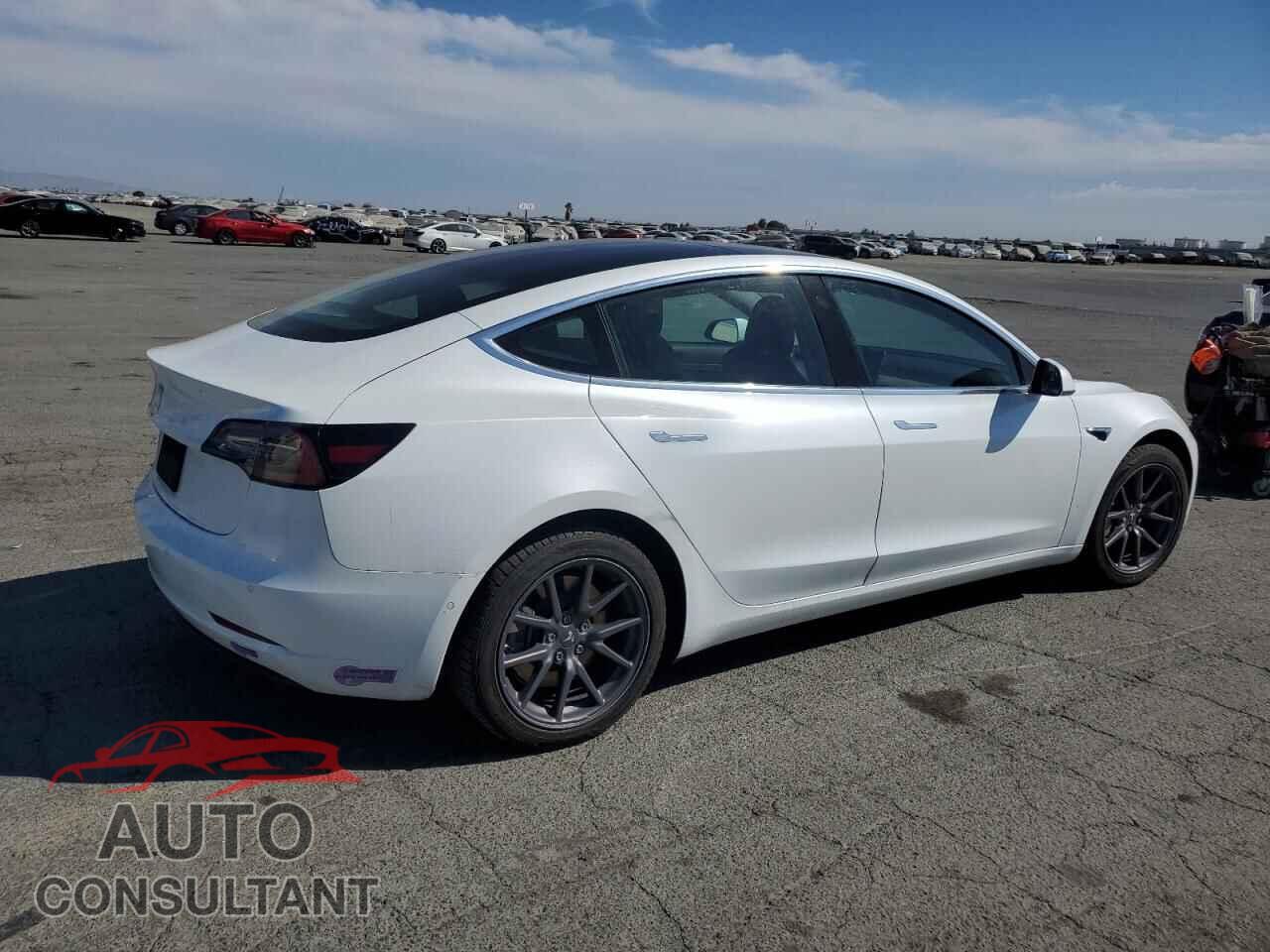 TESLA MODEL 3 2019 - 5YJ3E1EA1KF190529