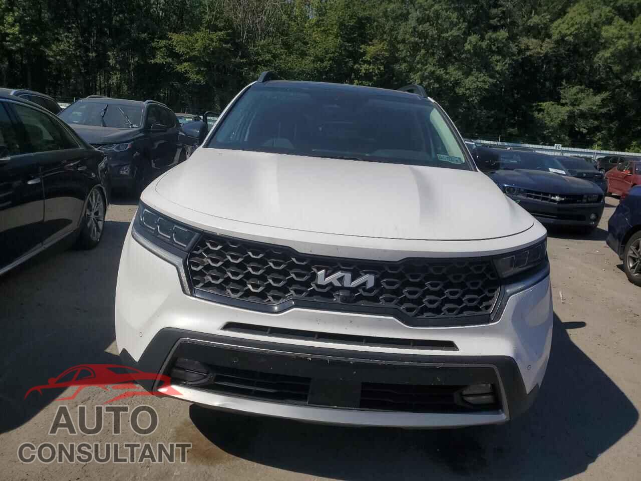KIA SORENTO 2023 - 5XYRKDLF2PG229230